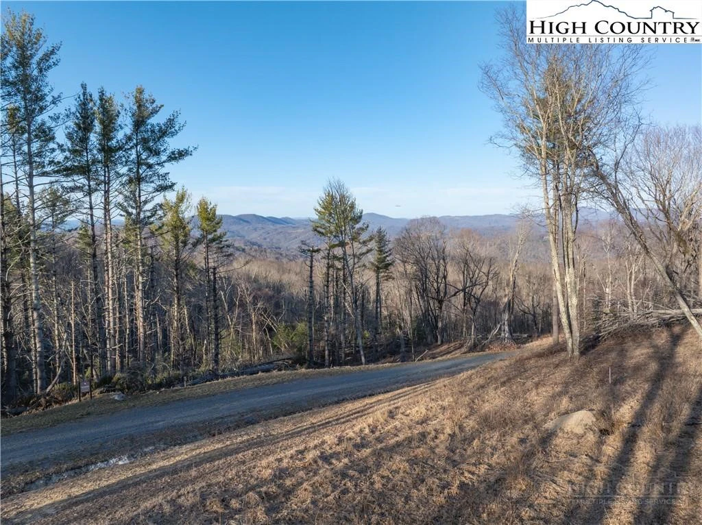 Image number 1 for the current listing