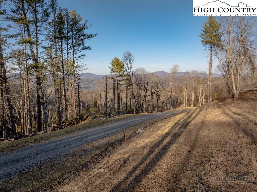 Image number 4 for the current listing