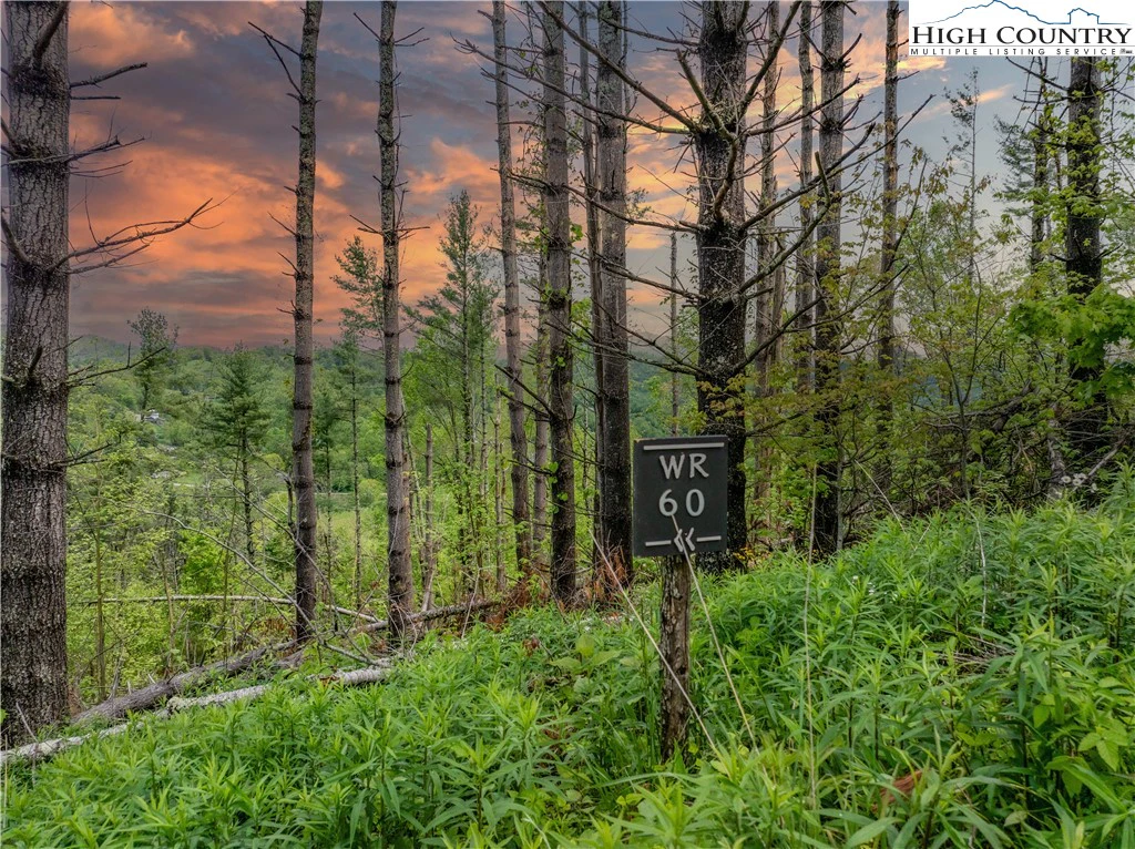 Image number 1 for the current listing