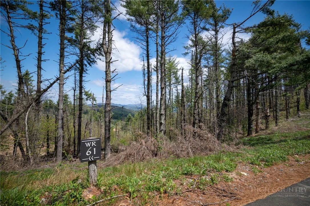 Image number 6 for the current listing