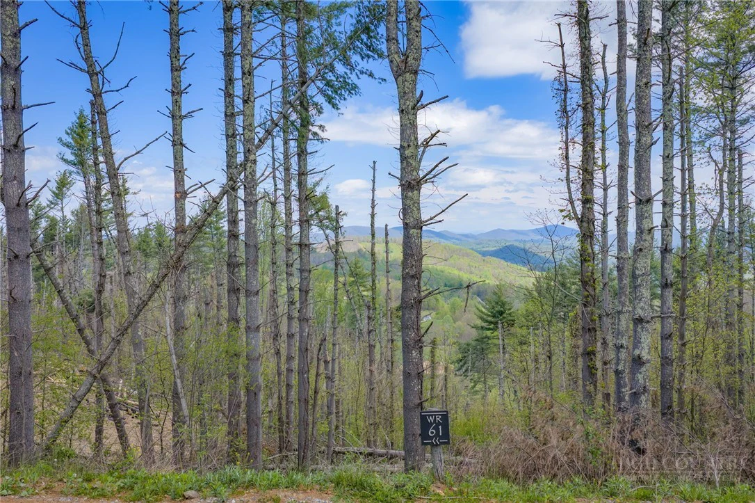 Image number 11 for the current listing