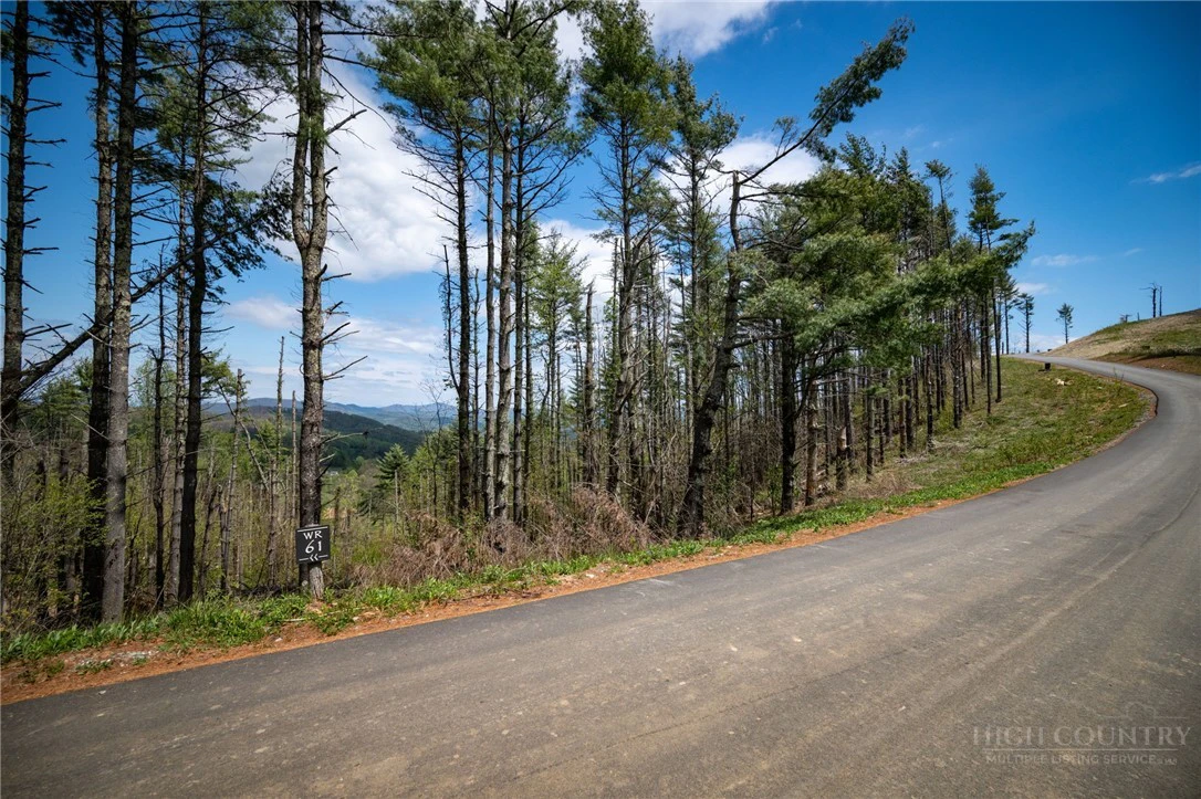 Image number 12 for the current listing