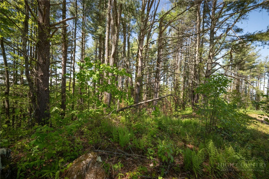 Image number 4 for the current listing