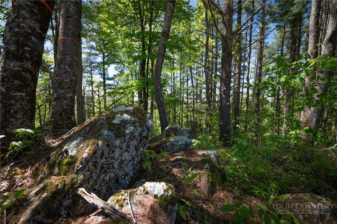 Image number 5 for the current listing