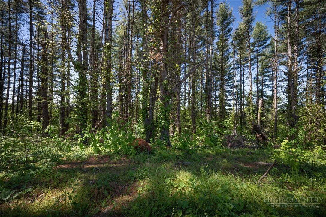 Image number 3 for the current listing
