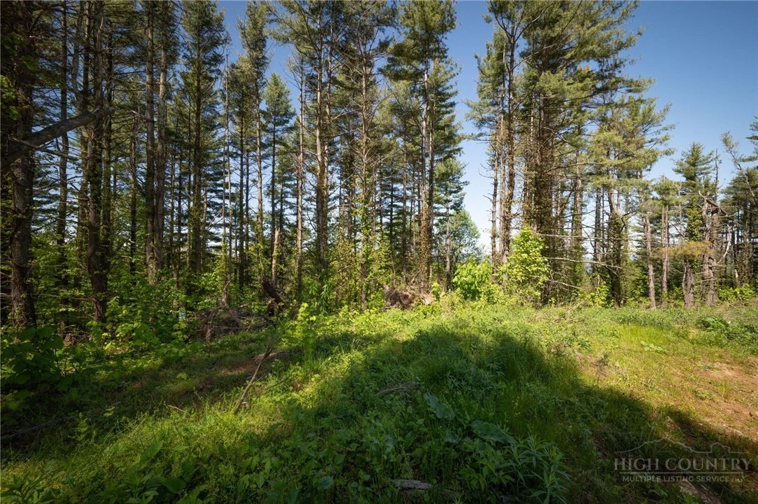 Image number 6 for the current listing