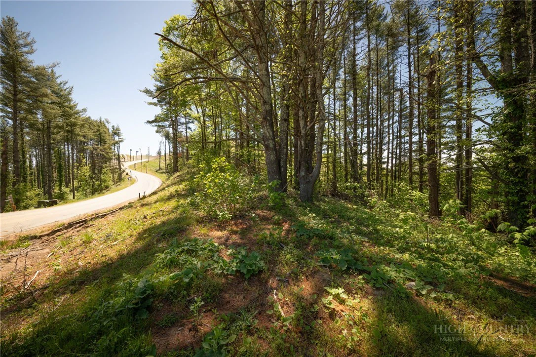 Image number 7 for the current listing