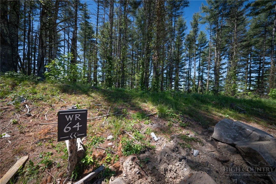 Image number 1 for the current listing