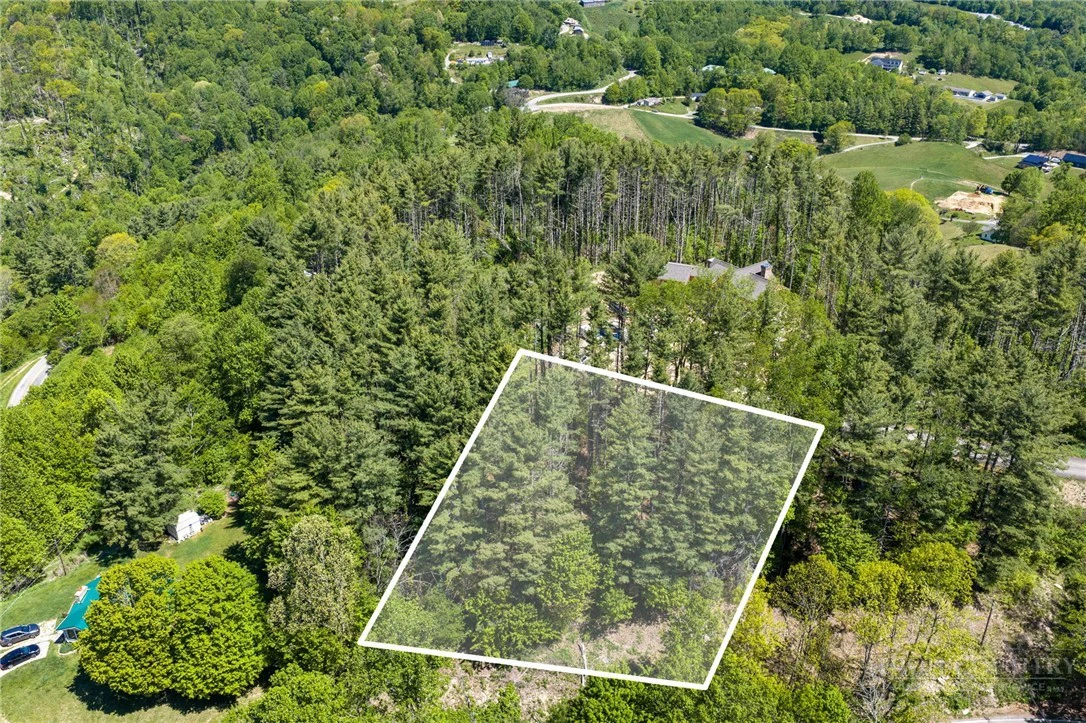 Image number 10 for the current listing