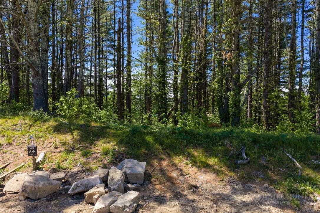 Image number 13 for the current listing