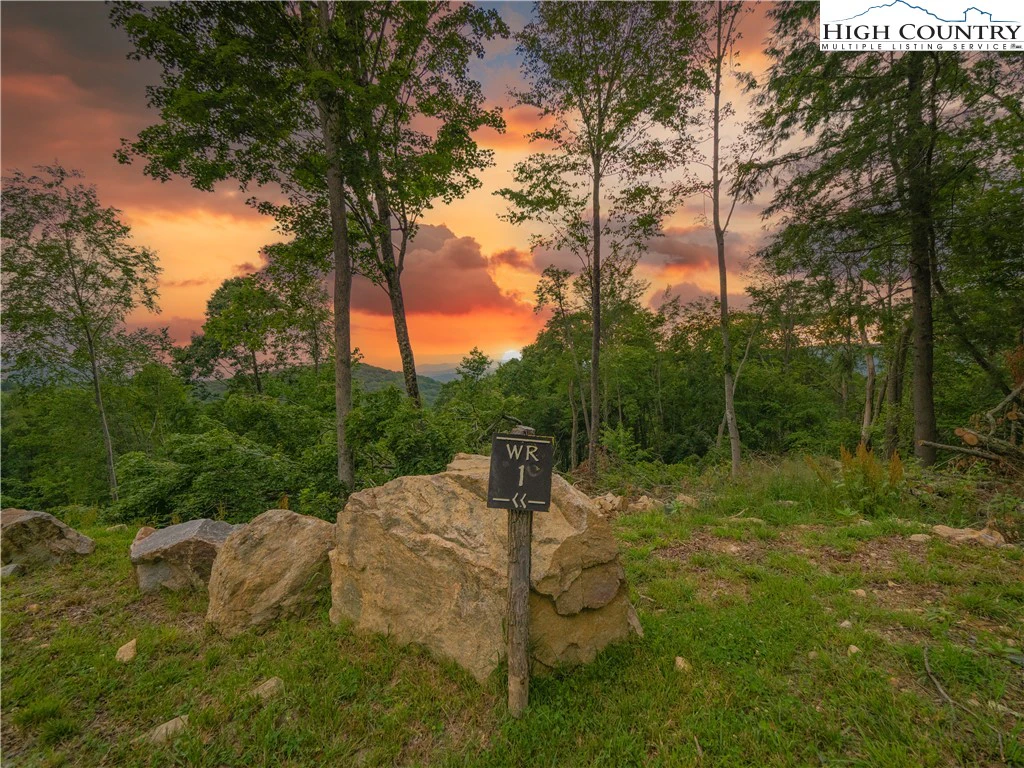 Image number 1 for the current listing