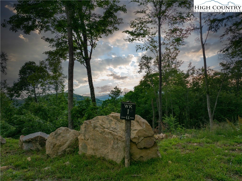 Image number 12 for the current listing