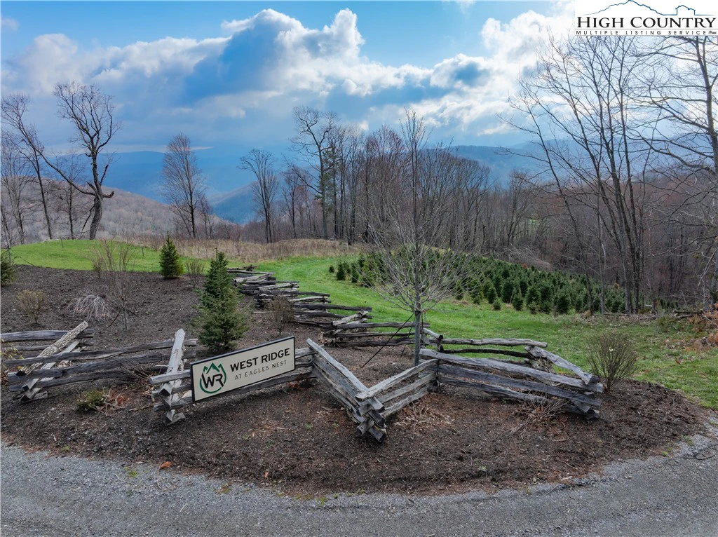 Image number 4 for the current listing
