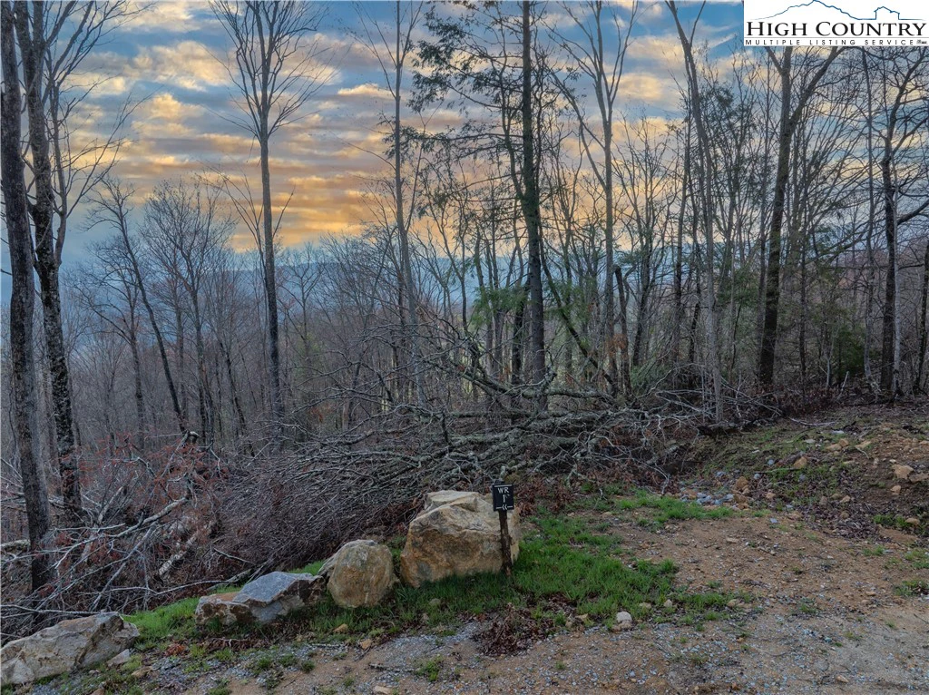 Image number 7 for the current listing