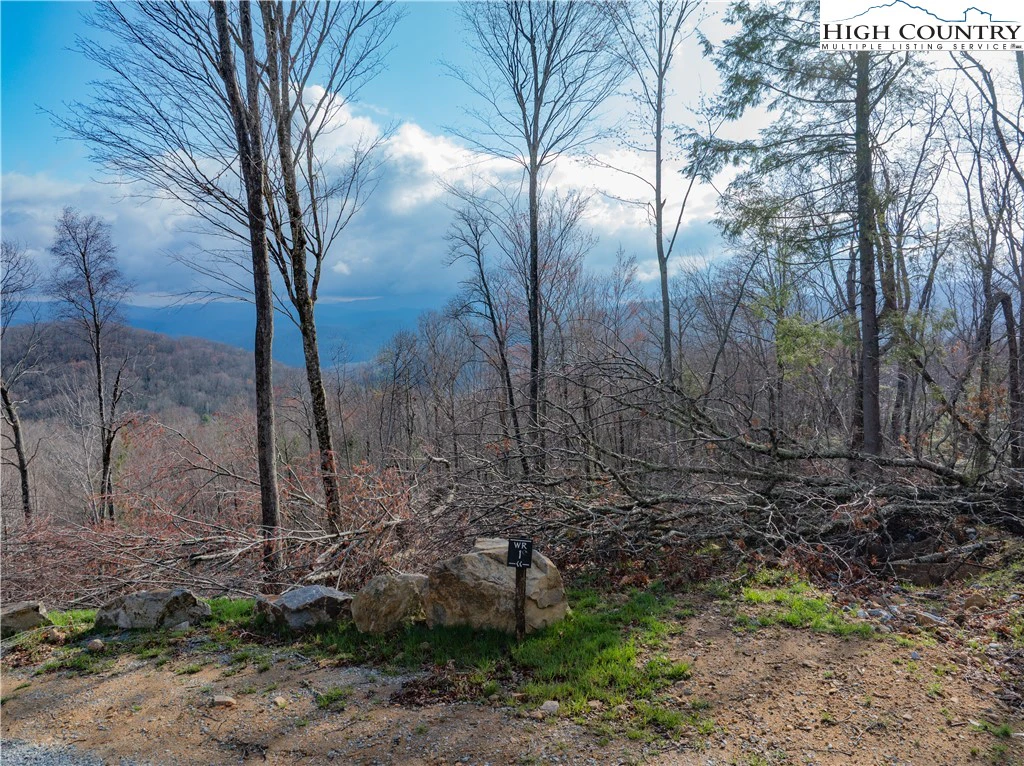 Image number 8 for the current listing