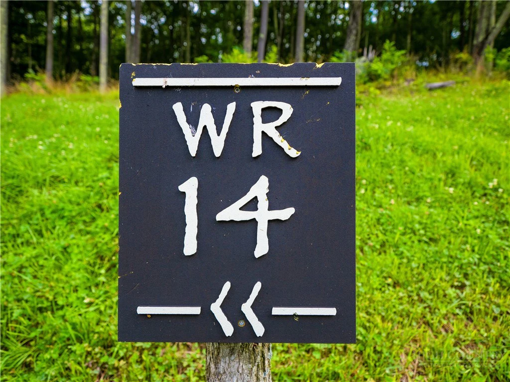 Image number 5 for the current listing