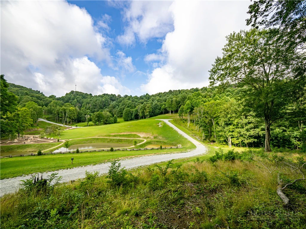 Image number 7 for the current listing
