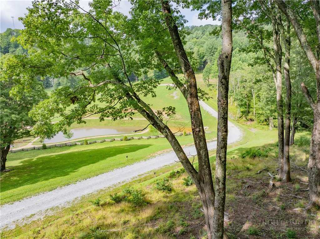 Image number 9 for the current listing
