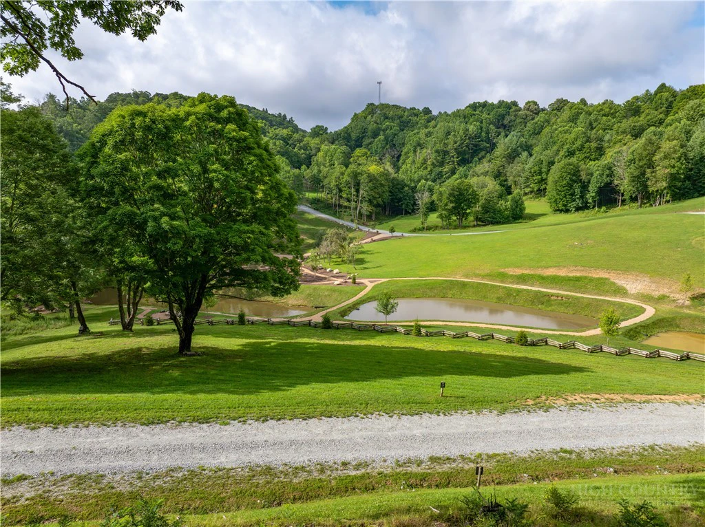 Image number 11 for the current listing