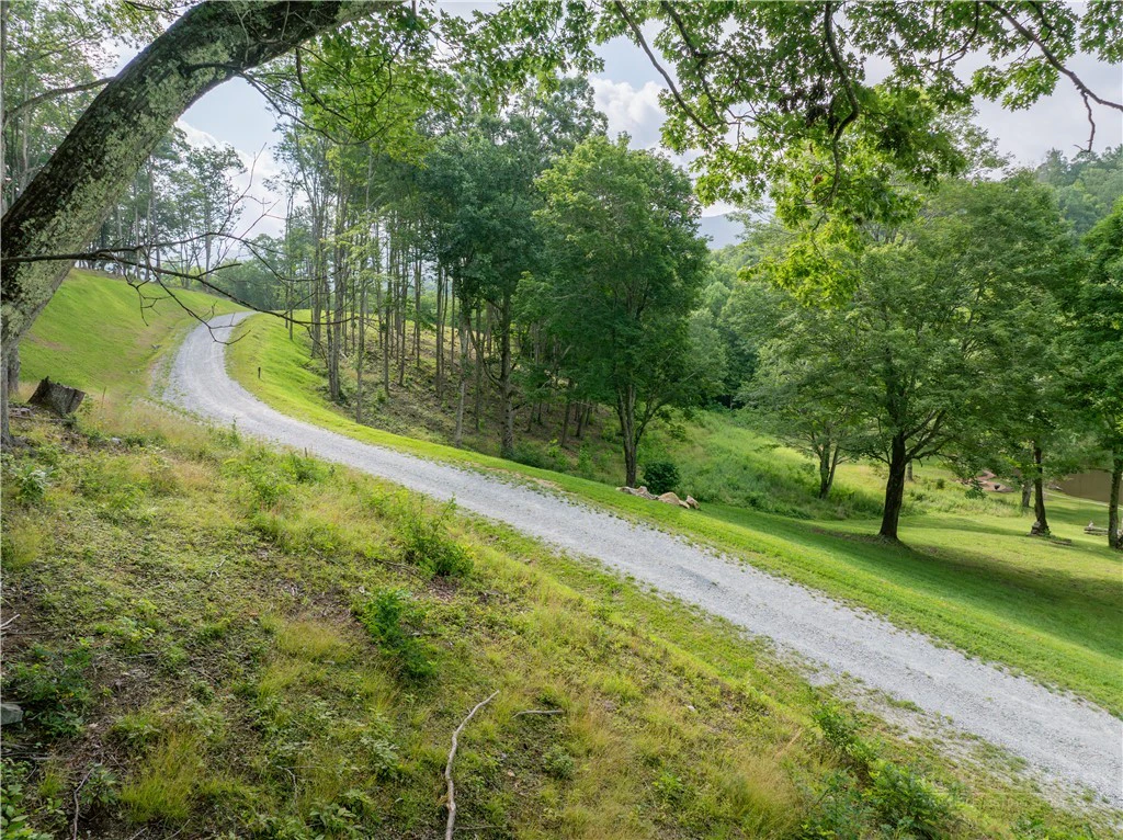Image number 12 for the current listing