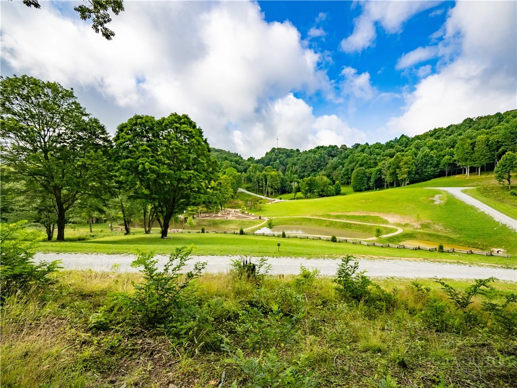 Image number 1 for the current listing