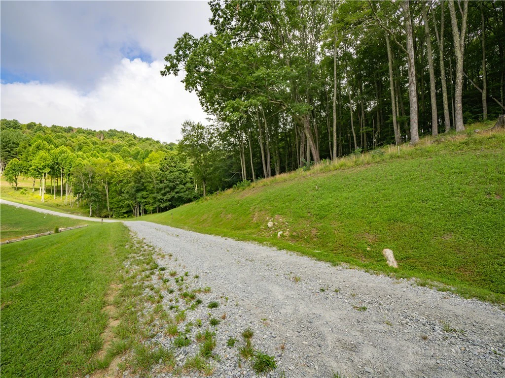 Image number 2 for the current listing