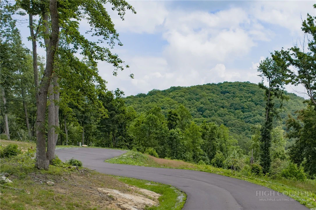 Image number 2 for the current listing