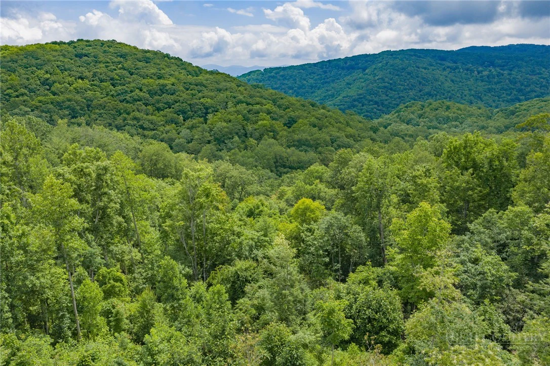 Image number 8 for the current listing