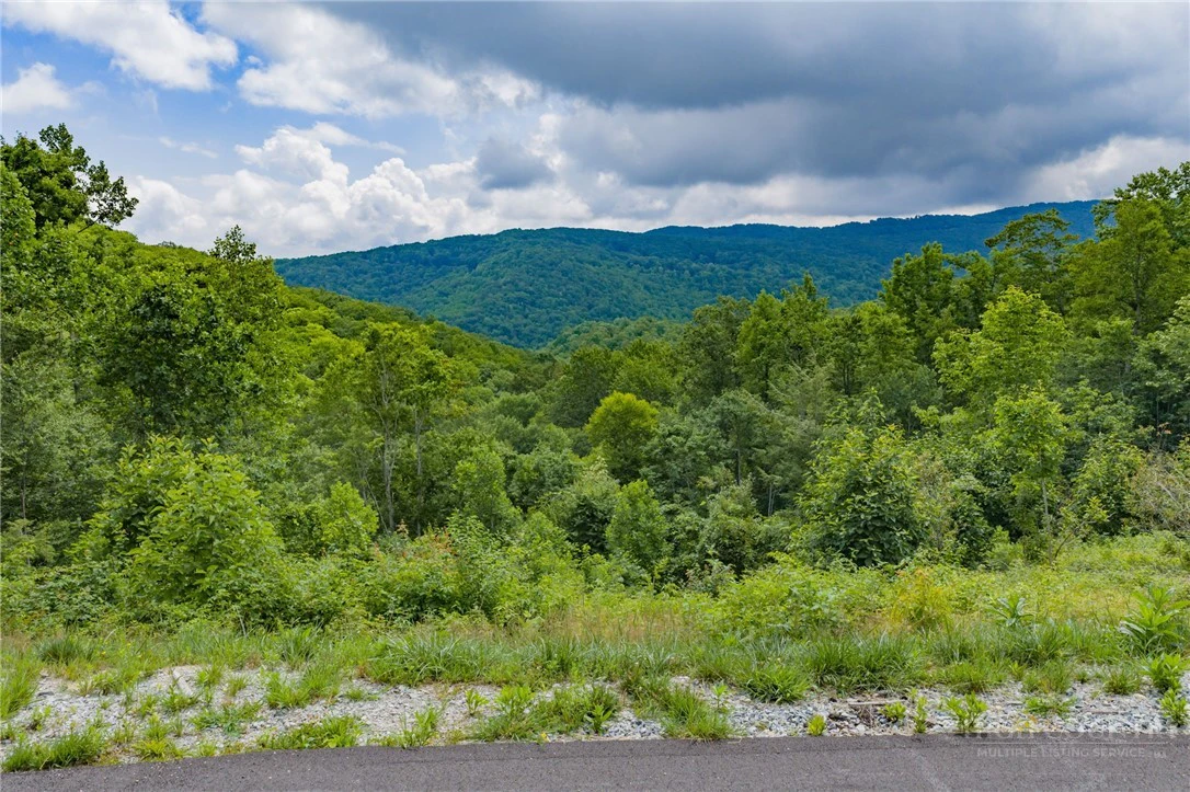 Image number 9 for the current listing