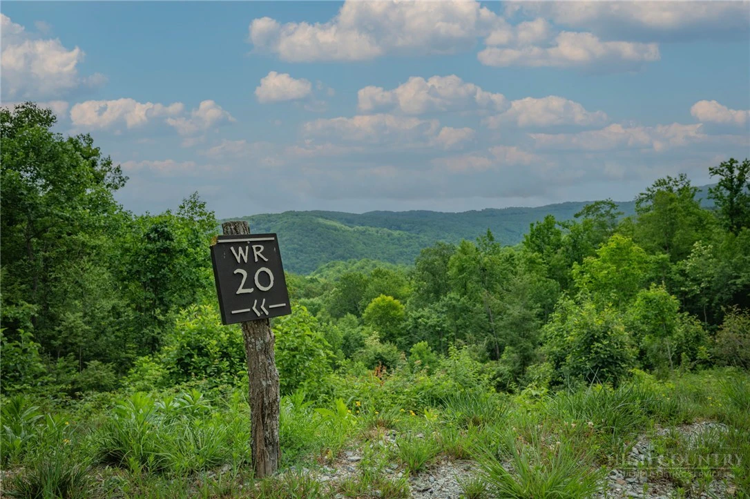 Image number 14 for the current listing