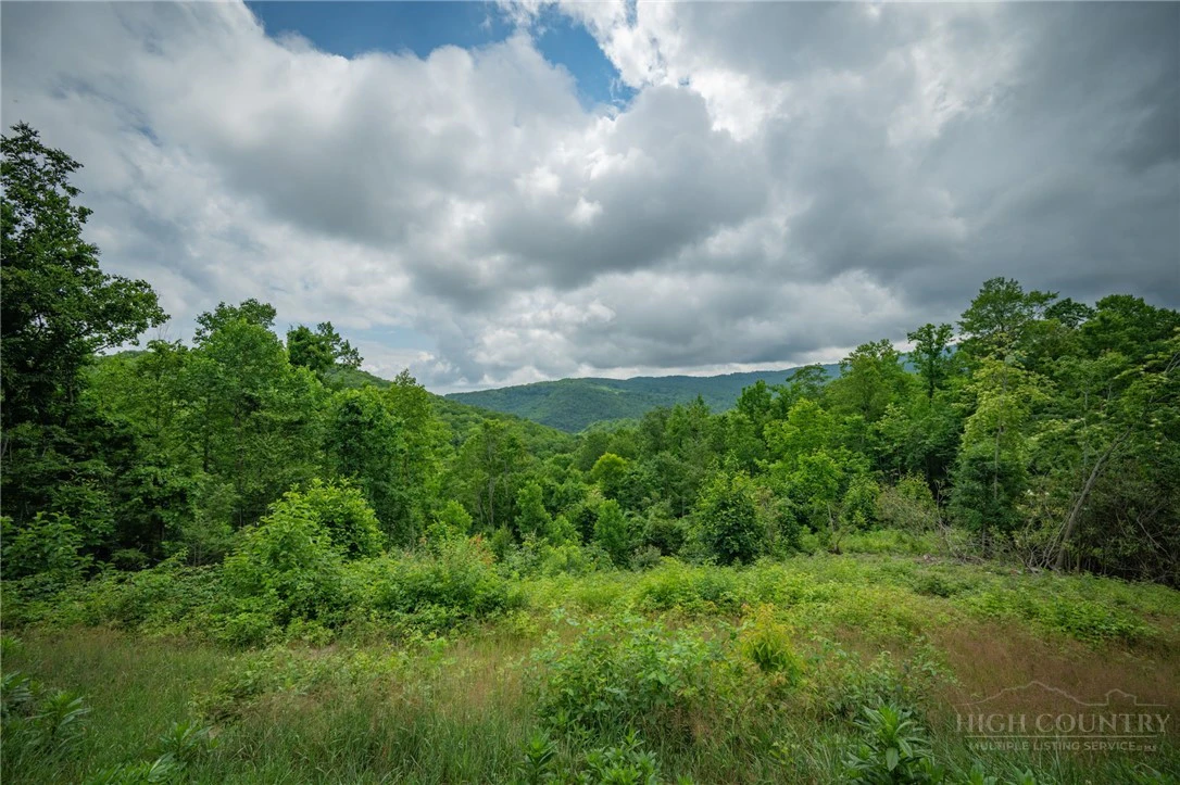Image number 17 for the current listing