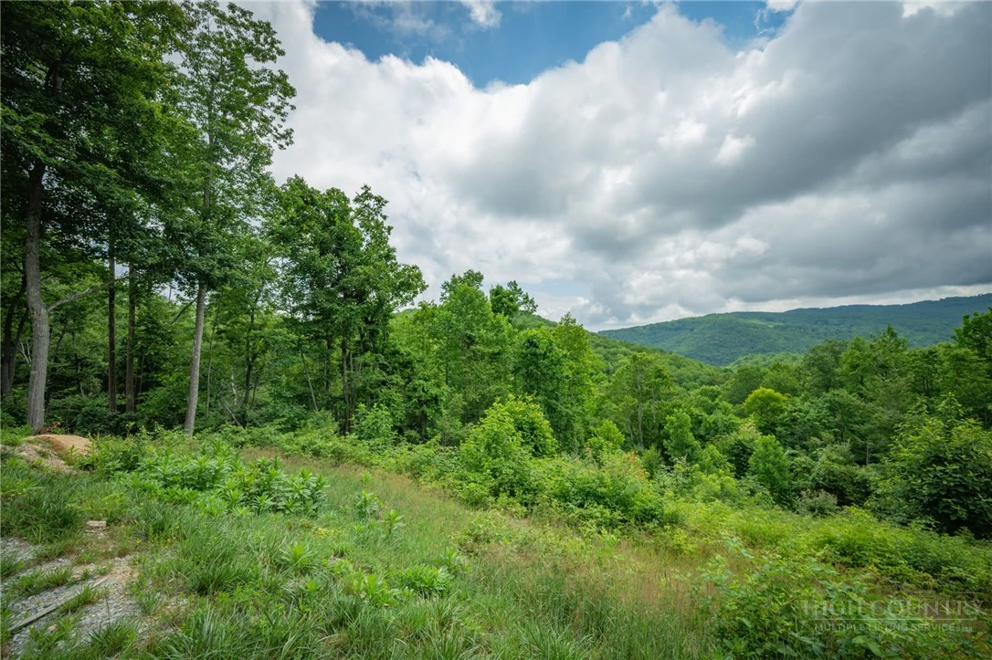 Image number 18 for the current listing