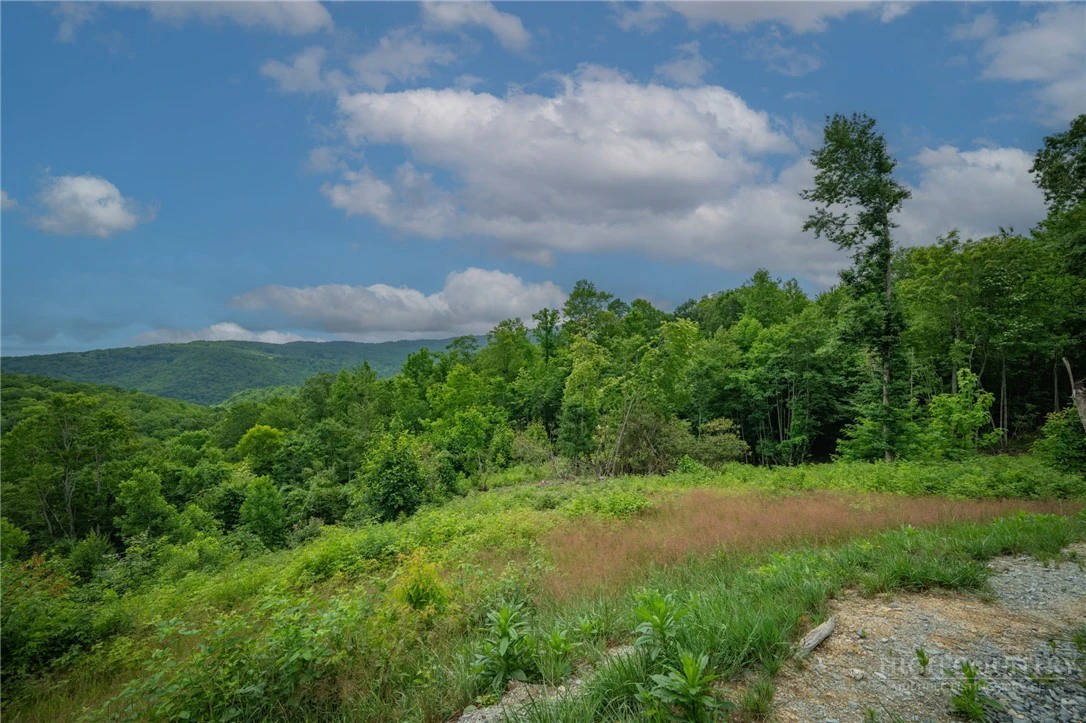 Image number 19 for the current listing