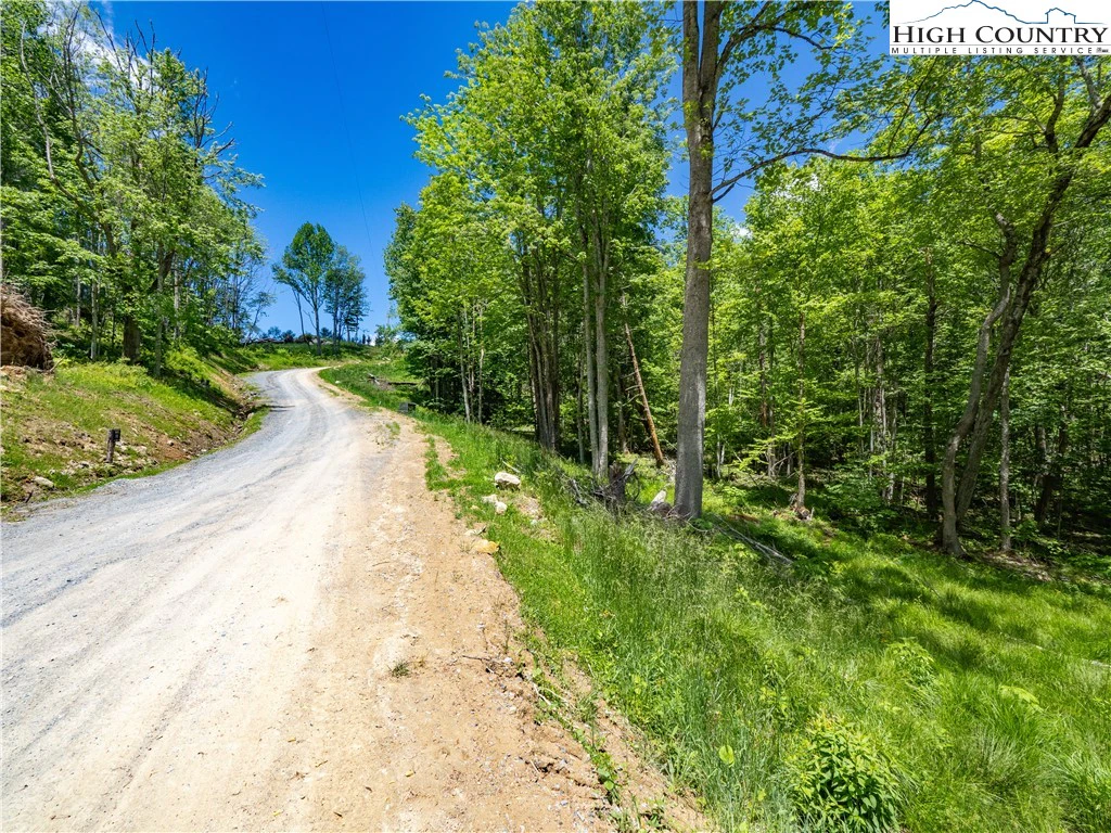 Image number 3 for the current listing