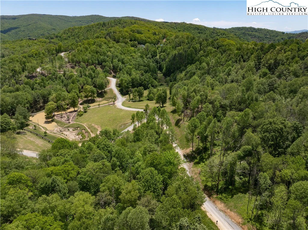 Image number 4 for the current listing