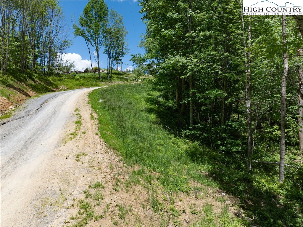 Image number 6 for the current listing