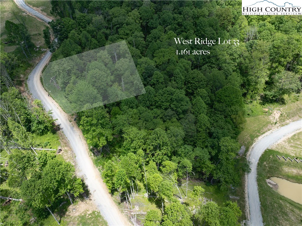 Image number 7 for the current listing