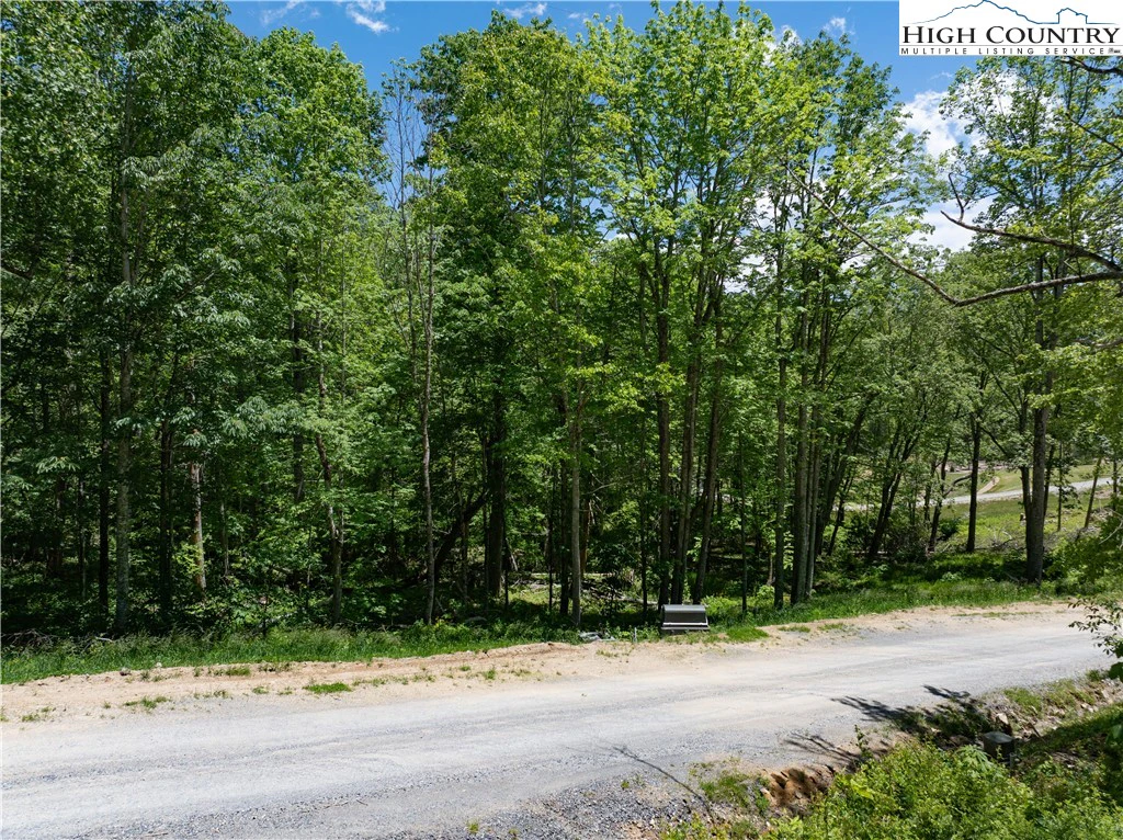 Image number 9 for the current listing
