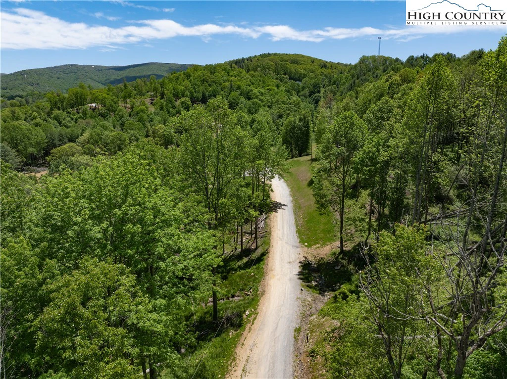 Image number 11 for the current listing