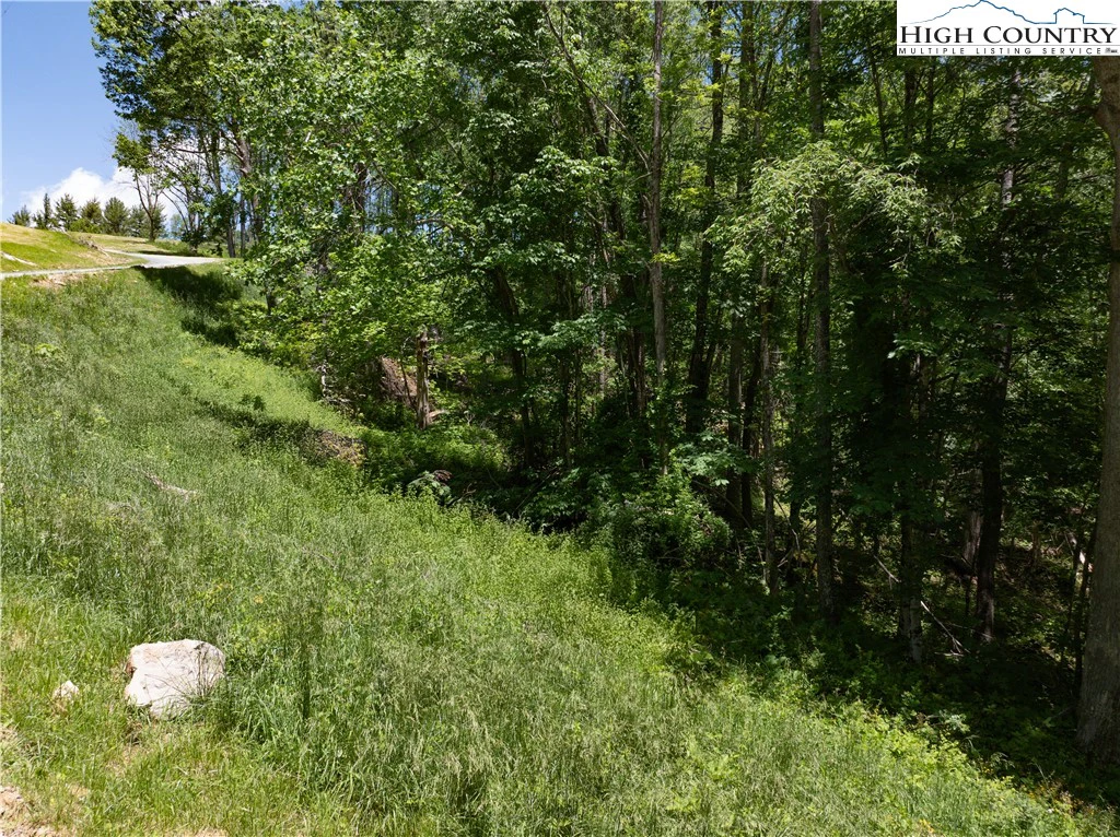 Image number 14 for the current listing