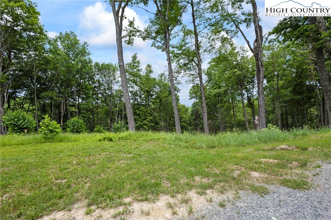 Image number 2 for the current listing