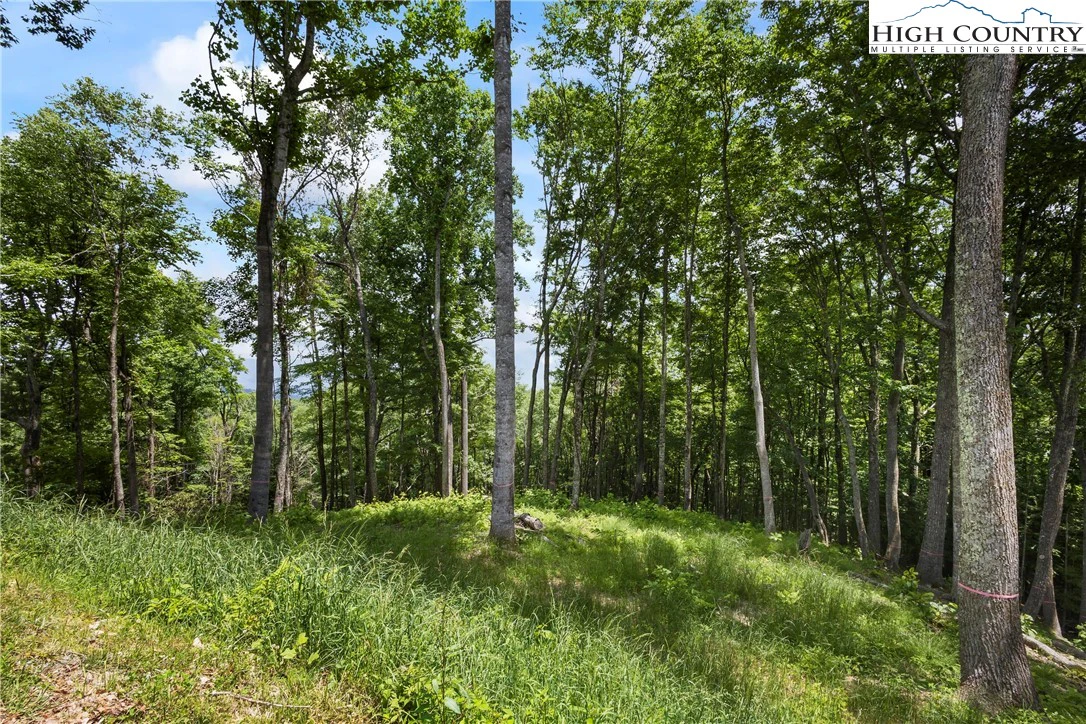 Image number 14 for the current listing