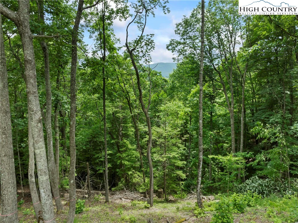 Image number 1 for the current listing