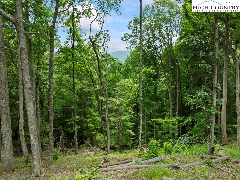 Image number 20 for the current listing