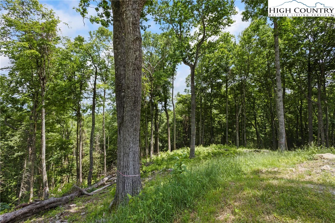 Image number 17 for the current listing