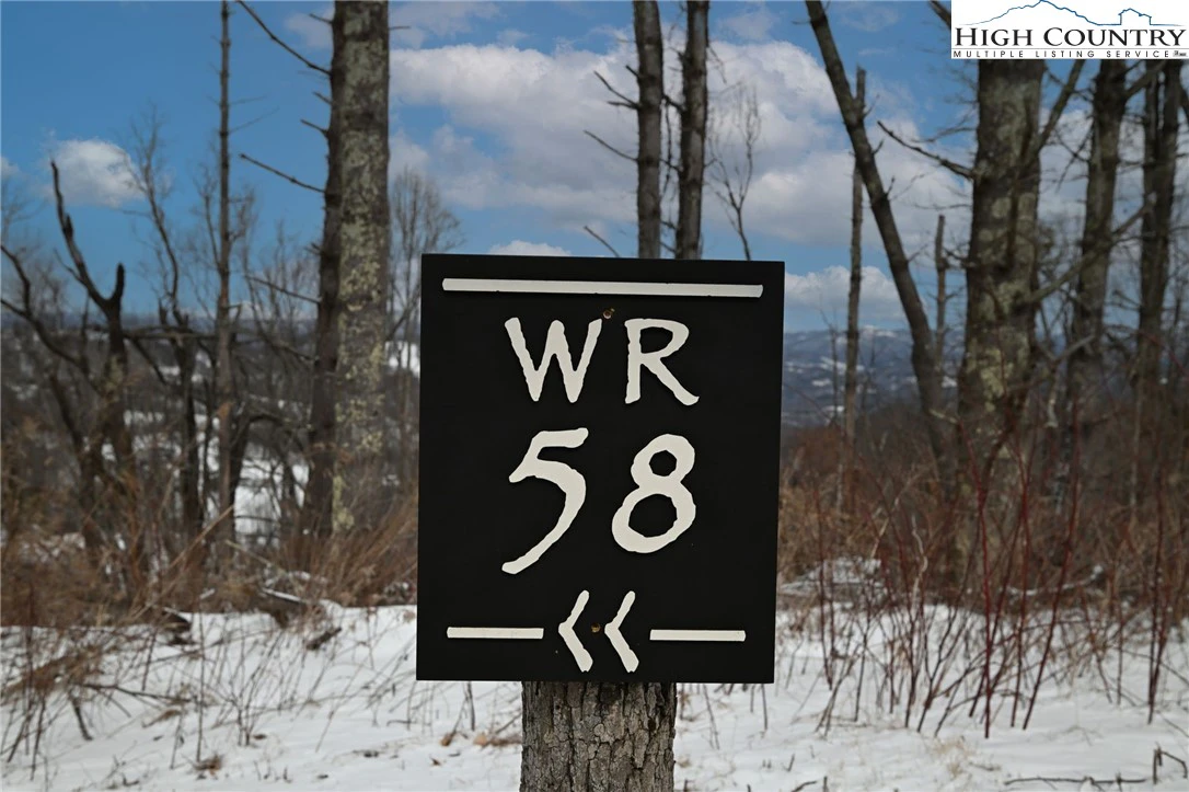 Image number 3 for the current listing