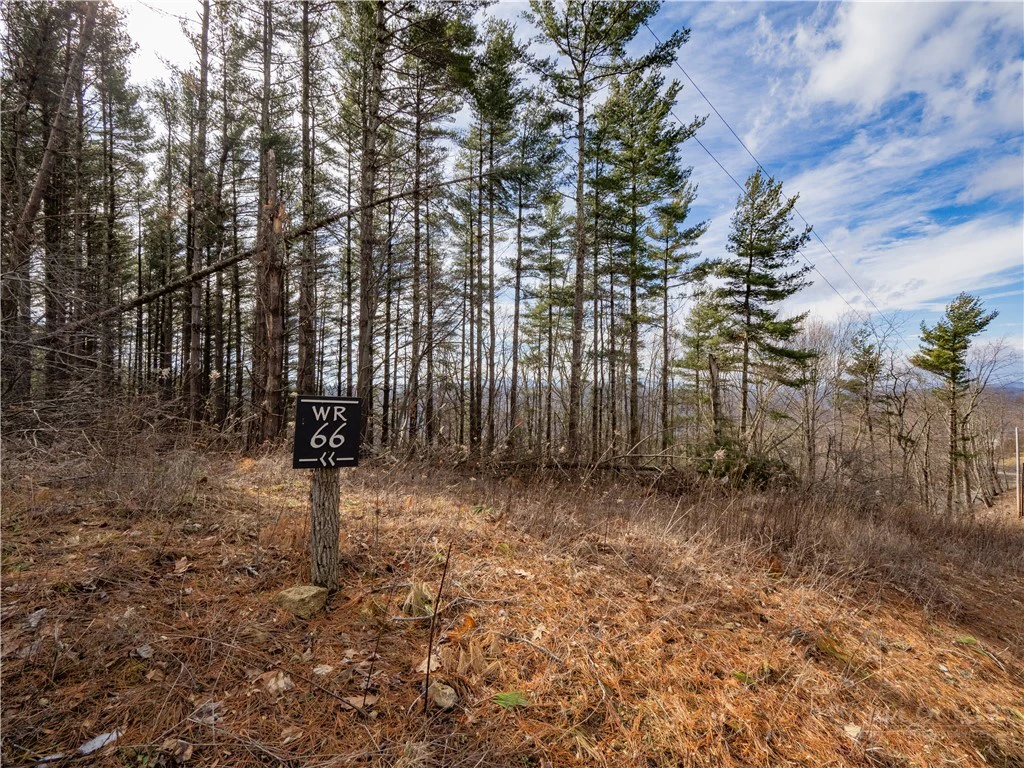 Image number 1 for the current listing