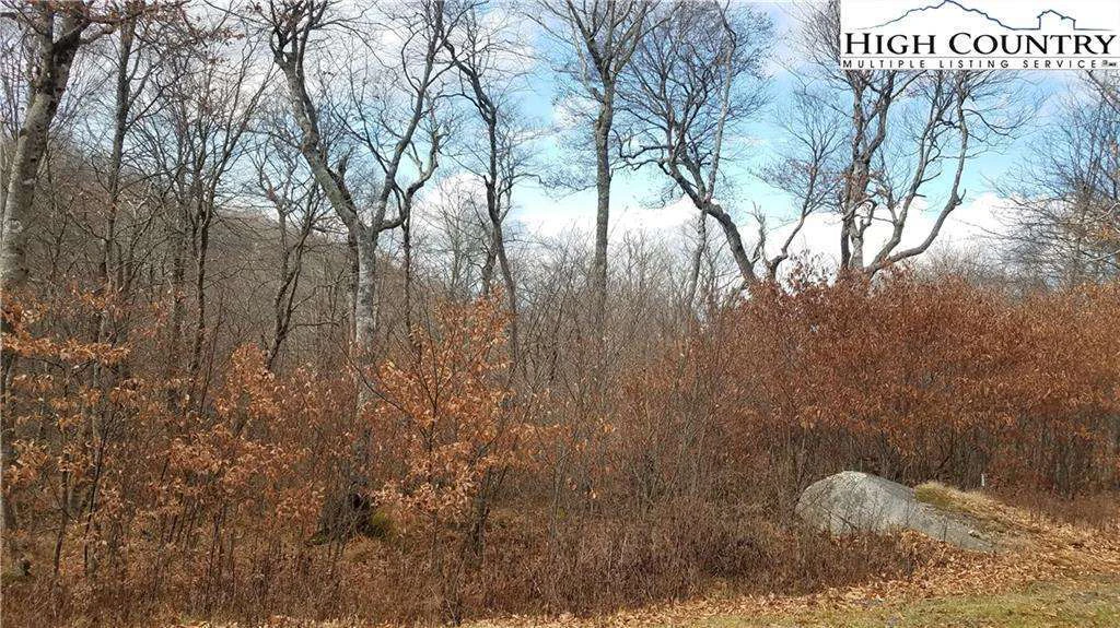 Image number 1 for the current listing
