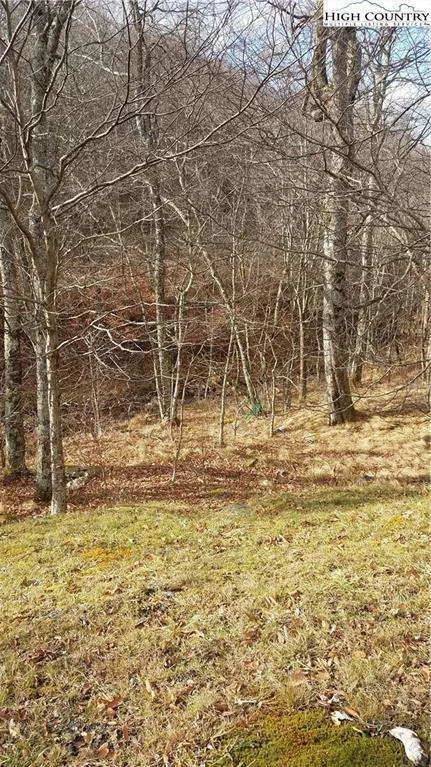 Image number 4 for the current listing