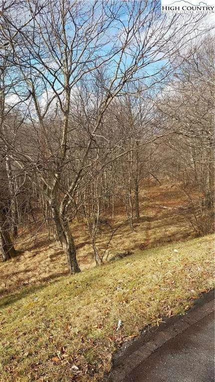 Image number 5 for the current listing